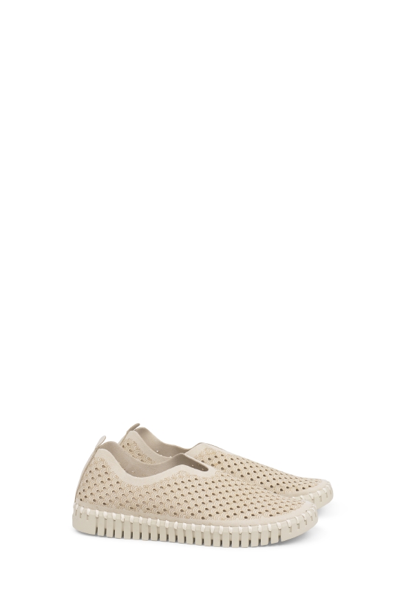 Tulip Beige